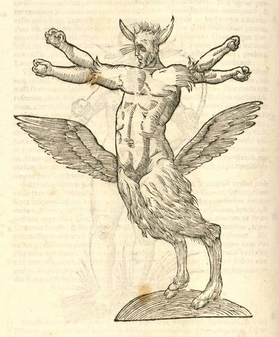 Illustration of Monstrum tetrachiron alatum capite humano aurito from Aldrovandi