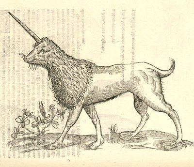 Illustration of a Camphurch from Aldrovandi