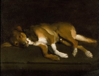 A Dog Lying on a Ledge, c.1630-1720 by Italian school