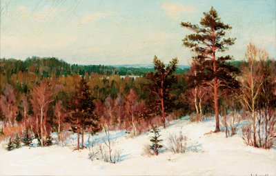Winter - View over the Forest by Ivan Fedorovich Choultse