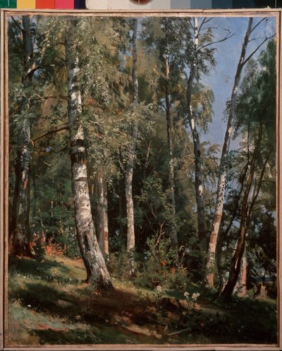 Birch Grove. Painting by Ivan Ivanovich Shishkin by Ivan Ivanovich Shishkin
