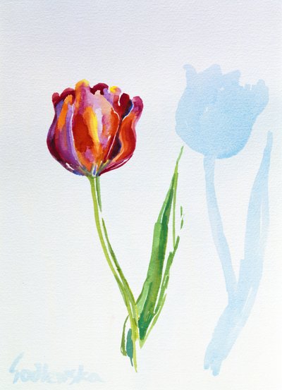 Tulip, 1998 by Izabella Godlewska de Aranda