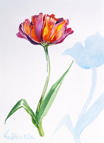 Tulip, 1998 by Izabella Godlewska de Aranda