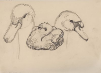 Swan and heads of swans by J.A. Jerichau