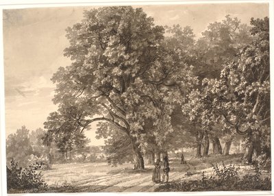 View of a Road in a Wood near Sorø, Zealand by Johan Christian Dahl