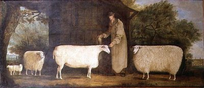 A Shepherd with his Flock by J.D. Curtis