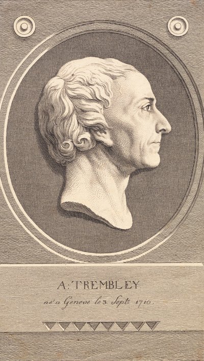 Relief Medallion with Portrait of Zoologist Abraham Trembley by J.F. Clemens