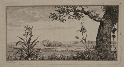 View Over a Flat Landscape, in the Foreground a Plant with Insects and a Tree with Snails by J.F. Clemens