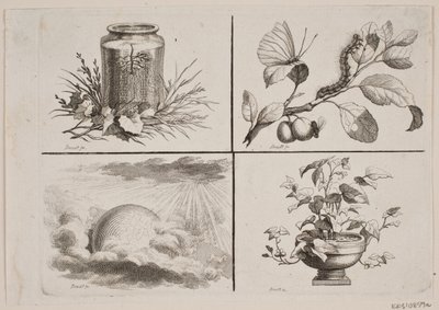 Vignettes for Bonnet