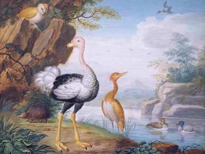 Exotic birds and an owl on the banks of a river by J.F. Hefele