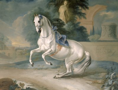 The White Stallion 
