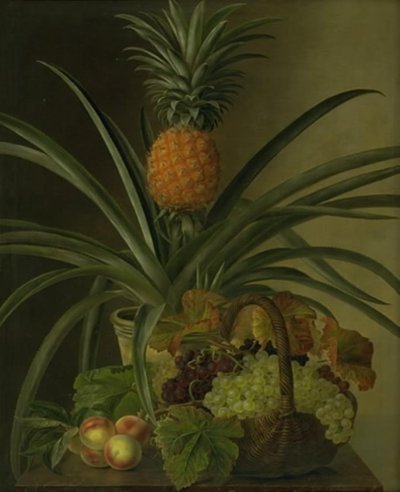 A Pineapple and Other Fruits by J.L. Jensen