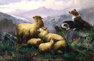 Sheep Dogs and Sheep in the Scottish Highlands by J.W. Morris