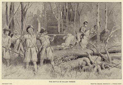The Battle of Fallen Timbers by J. (after) Steeple Davis