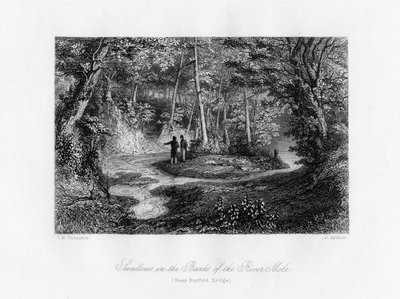 Swallows in the Banks of the River Mole, Surrey, 19th Century by J. Archer