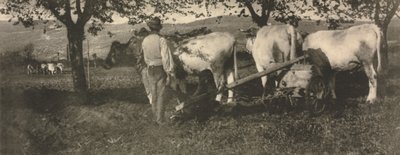 Ploughing Team by J. Craig Annan