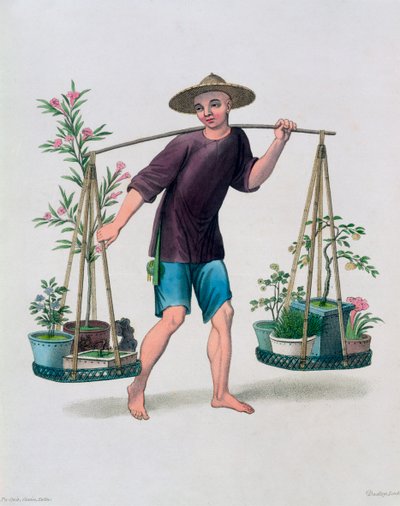 A Porter with Fruit Trees and Flowers by J Dadley