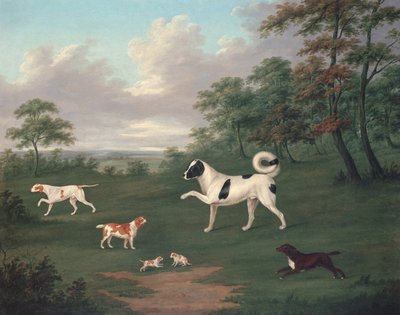 Sporting dogs in a landscape by J. Francis Sartorius