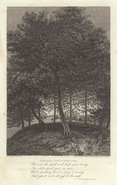 Robert Bloomfield, Poet: Fakenham from Euston Park by J. Greig