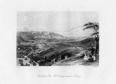 View from Box Hill, Looking Towards Norbury by J. H. Kernot