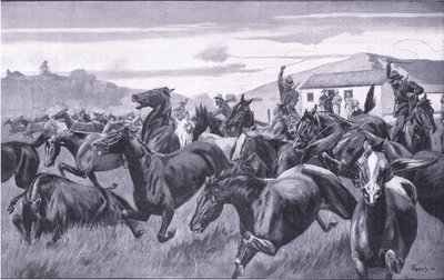Boers Raiding the Remount Depot at Braamfontein, from After Pretoria: The Guerilla War by J. H. Thornely