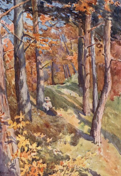 In the Forest of Sauvabelin, above Lausanne by J. Hardwicke Lewis