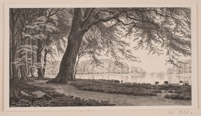 Spring Afternoon by Fuglesangsøen in Dyrehaven by J. Hildebrand