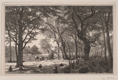 Jutland Forest Scene by J. Hildebrand