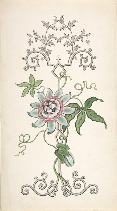 Design for Panel Decoration Centered on a Passion Flower by J Hulme