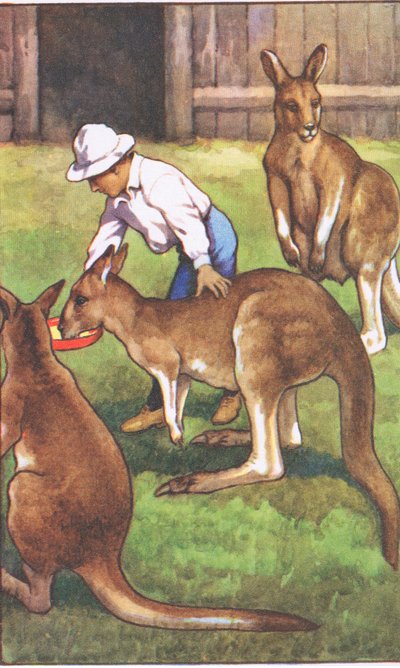 Australian Boy, from MacMillan School Posters by J. Macfarlane