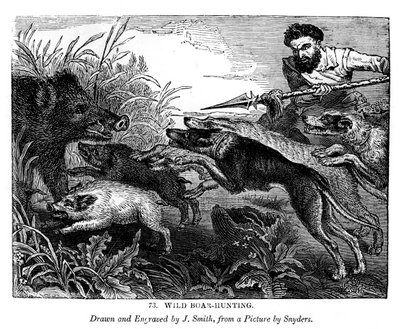 Wild Boar Hunting by J. Smith