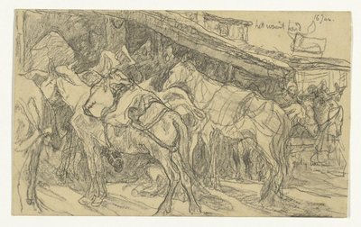 Mules and Donkeys at the Grand Market in Tangier by Jac van Looij