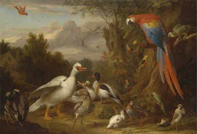 A Macaw, Ducks, Parrots and Other Birds in a Landscape by Jacob Bogdani