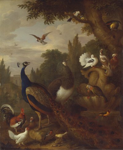 Peacock, peahen, parrots, canary, and other birds in a park by Jacob Bogdani