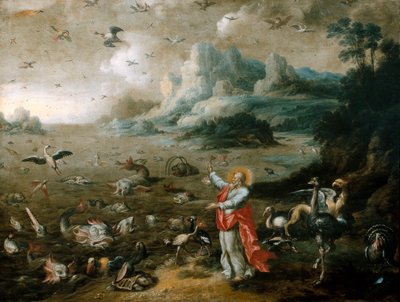 The Genesis: Creation of the Birds and Fishes by Jacob Bouttats