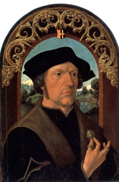 Portrait of a Man by Jacob Cornelisz van Oostsanen