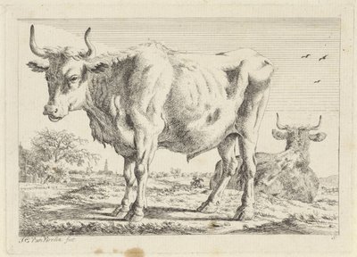 Standing and Lying Ox Six Prints after Drawings by Various Masters (series title) by Jacob Elias van Varelen