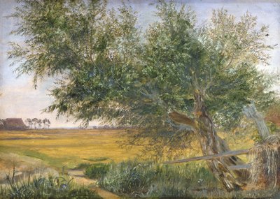 The Old Tree by Jacob Gensler