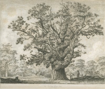 Needwood - Swilcar Oak by Jacob George Strutt