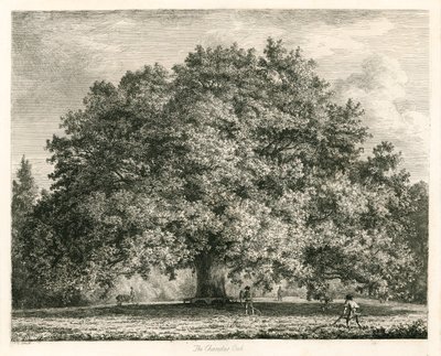 The Chandos Oak, Michendon House, Southgate, London by Jacob George Strutt