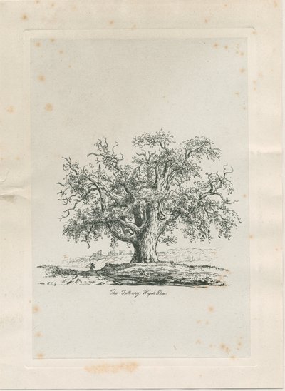 Tutbury - 