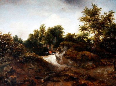 A Wooded Dune Landscape by Jacob van Ruisdael