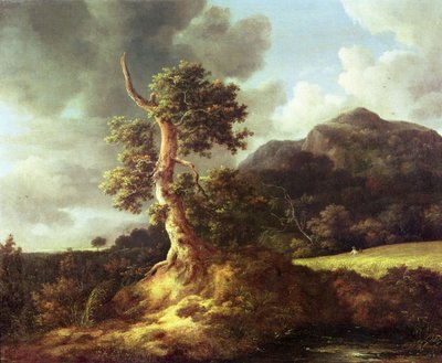 Unknown Image by Jacob van Ruisdael