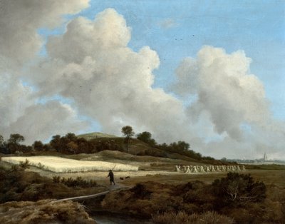 View of Grainfields with a Distant Town by Jacob van Ruisdael
