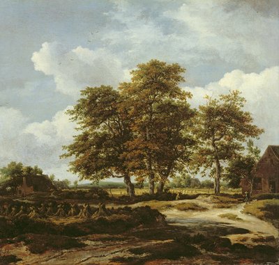 Wooded Landscape with Cornfields, c.1655-60 by Jacob Isaaksz. or Isaacksz. van Ruisdael