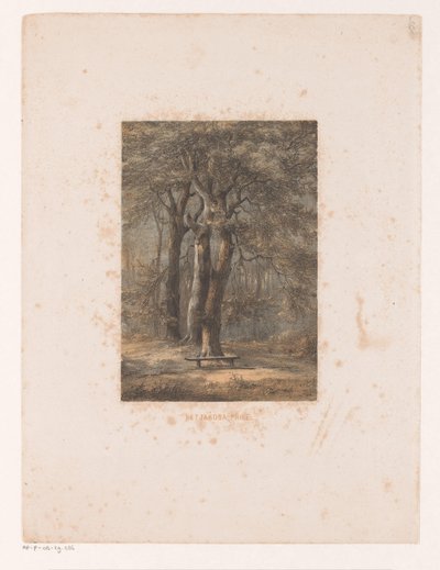 Jacoba Arbor by Jacob Jan van der Maaten
