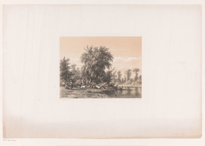 Resting Cows by the Water by Jacob Jan van der Maaten