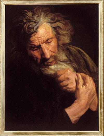Head of Old Man by Jacob Jordaens