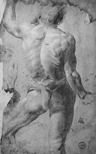 Standing Male Nude by Jacob Jordaens