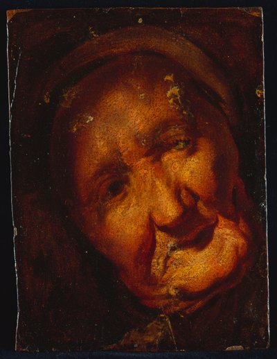The Head of an Old Woman by Jacob Jordaens